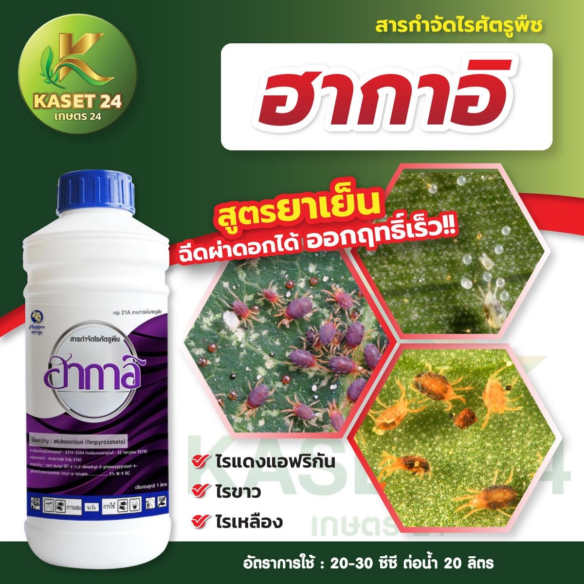 ฮากาอิ สารเฟนไพรอกซิเมต ป้องกันและกำจัดไรแดง ยาสูตรเย็น ฉีดผ่าดอกได้ ออกฤทธิ์เร็ว ( ขนาด 1 ลิตร)