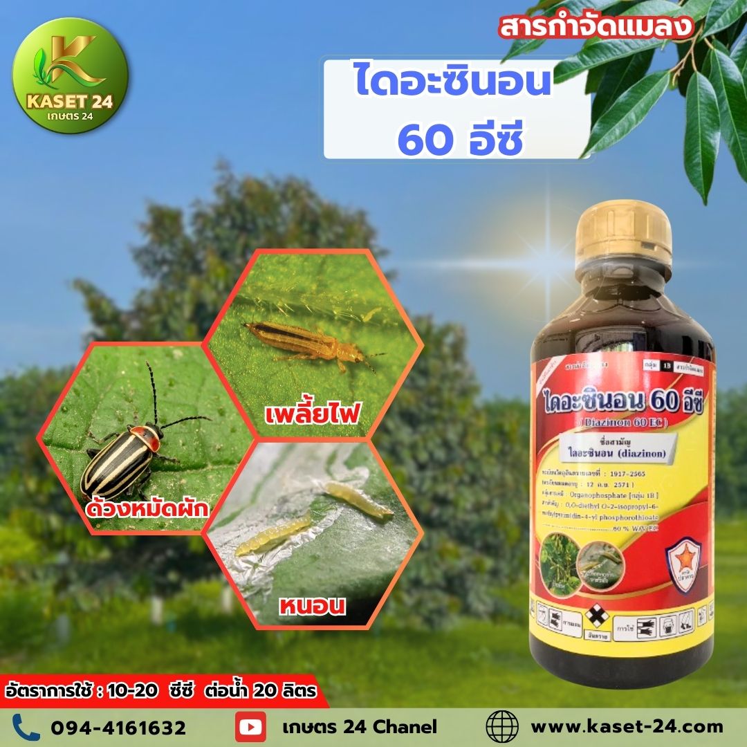 ไดอะซินอน 60 สารไดอะซินอน กำจัดเพลี้ยหอย เพลี้ยแป้ง หนอน ไรแดง แมลงปีกแข็ง (ขนาด 1 ลิตร)