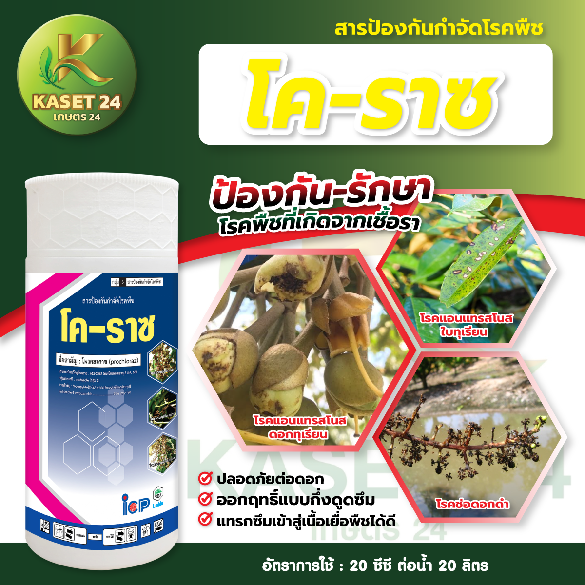 ยากำจัดเชื้อรา โค-ราซ (โพรคลอราช) กำจัดโรคแอนแทรคโนส โรคช่อดอกดำ โรคสะแคป มะม่วงเน่า ผลเน่า (ขนาด 1 ลิตร) ส่งฟรีเก็บเงินปลายทาง (ไม่บวกเพิ่ม)