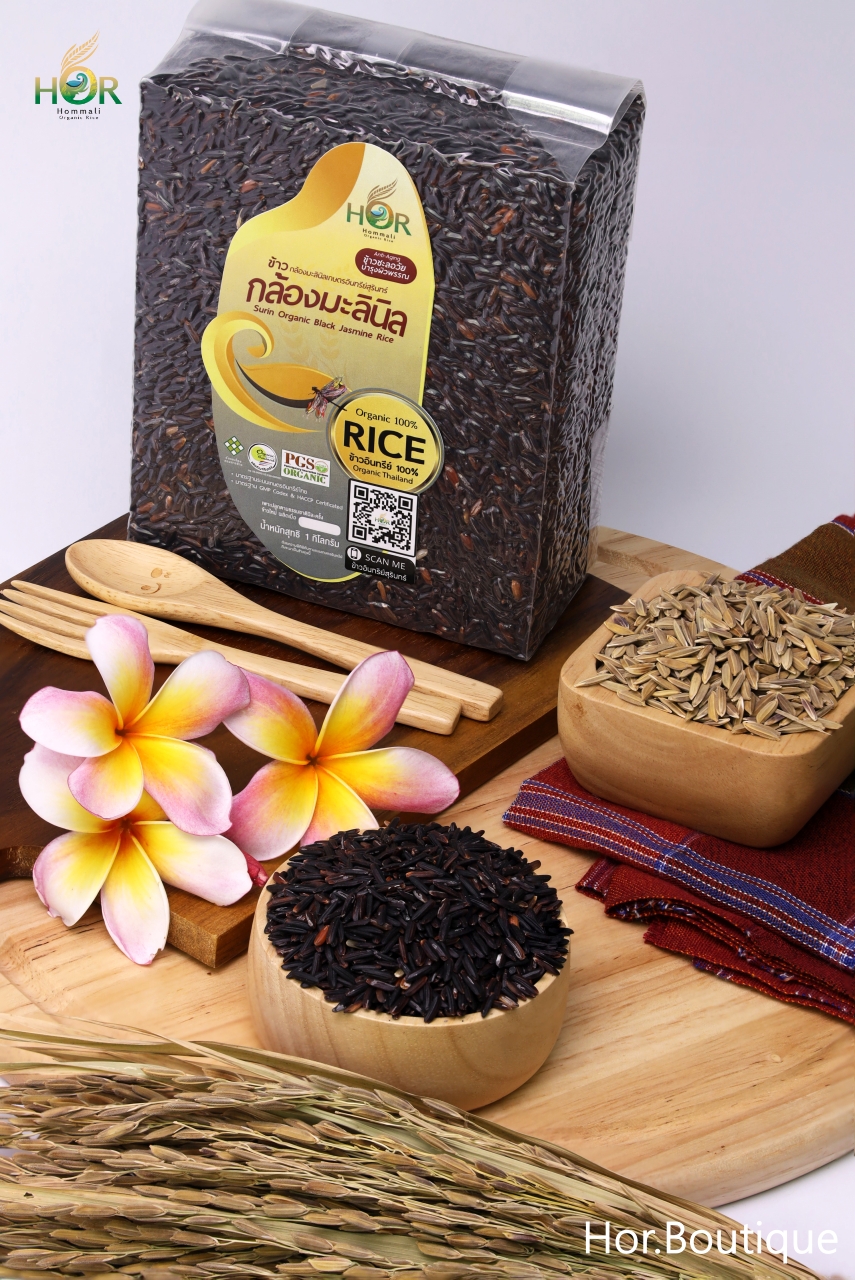 ข้าวมะลินิล ข้าวมะลินิลสุรินทร์ ข้าวหอมมะลินิล ข้าวหอมมะลินิลสุรินทร์ ข้าวมะลินิลอินทรีย์ ข้าวมะลินิลออร์แกนิค ข้าวมะลินิลปลอดสาร ข้าวมะลินิลอินทรีย์สุรินทร์ Surin Organic Black Jasmine Rice 0 กก.