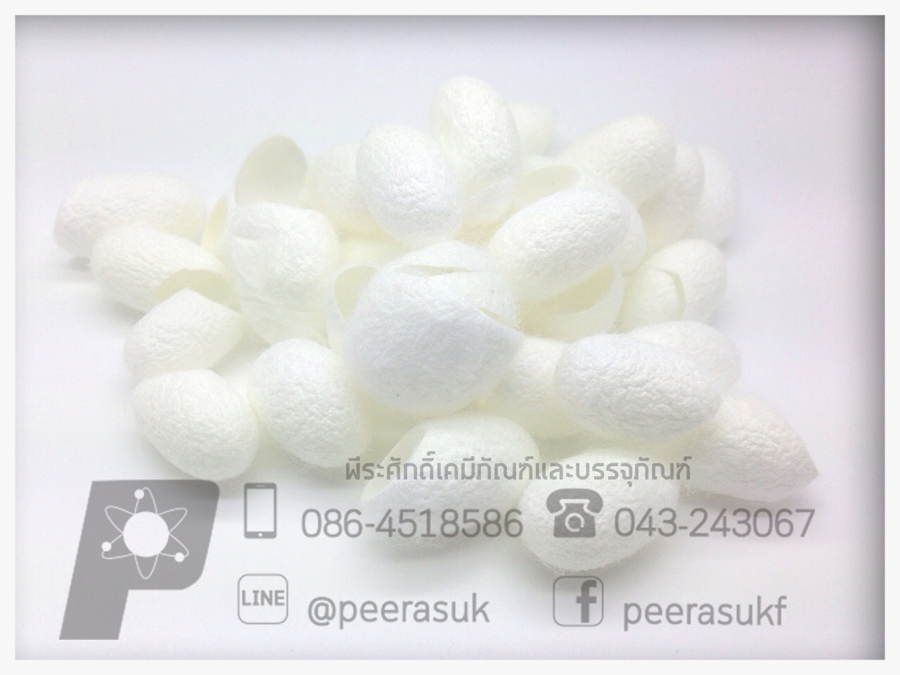 รังไหมสีขาว 1 กิโลกรัม