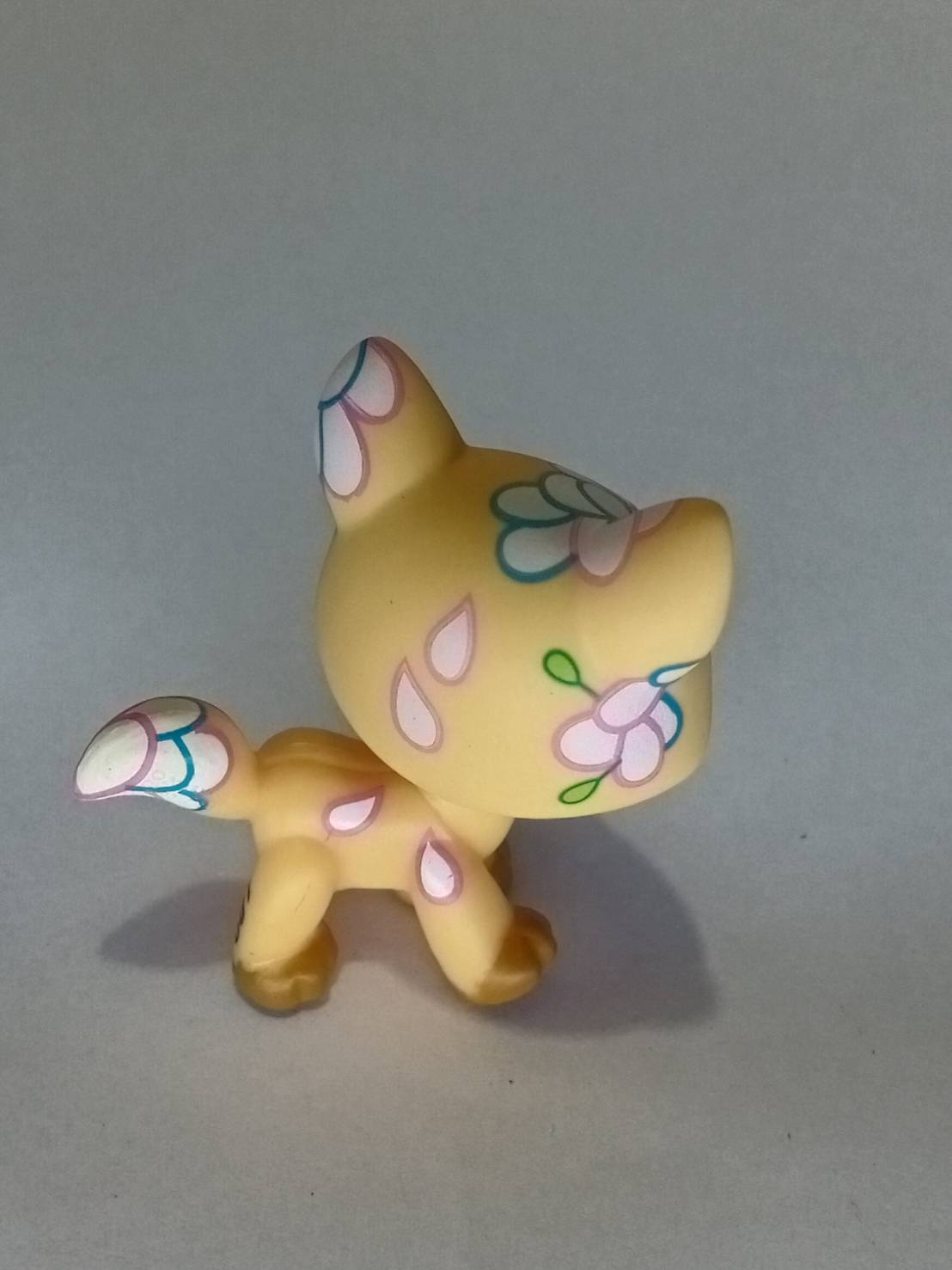 แมว Maine coon สีส้ม ตาสีเขียว tattoo