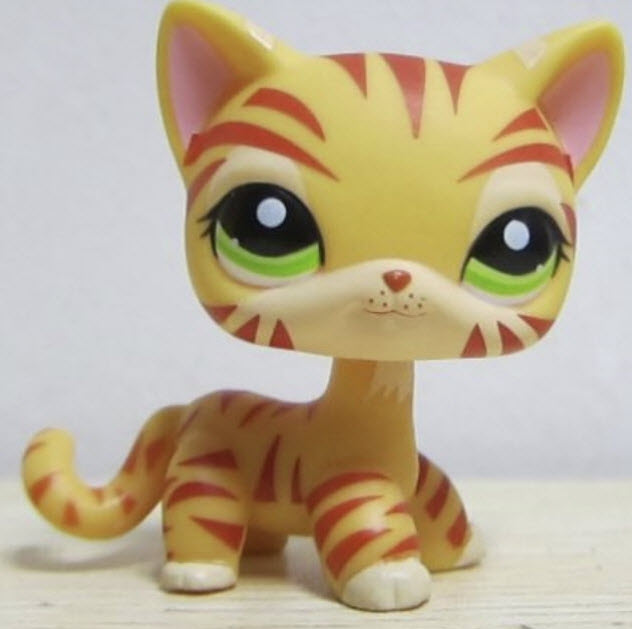 แมวสีส้มลายเสือ (Orange Tiger Cat) # 1451