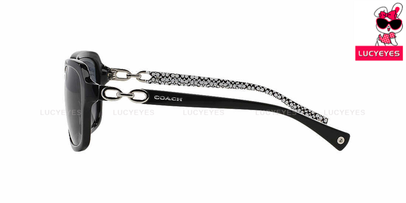 COACH HC8104F 521411 ASHLEY