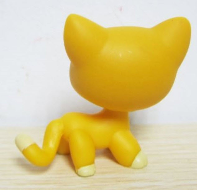 แมว Short hair สีส้ม ตาแซมม่วง