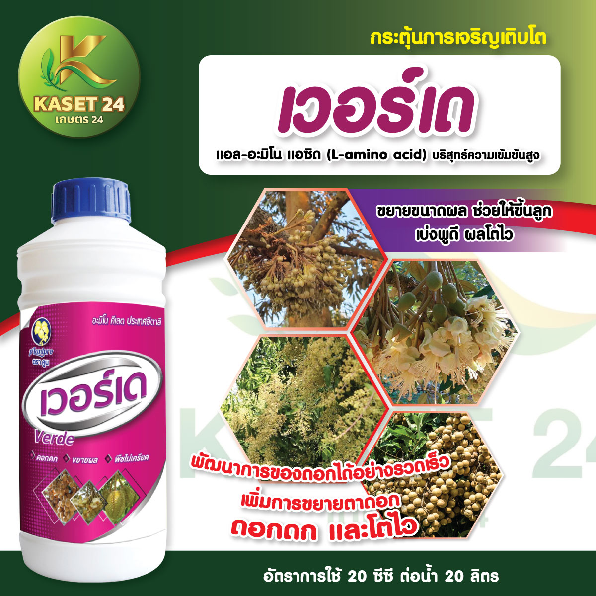 เวอร์เด อะมิโนคีเลต สูตรเข้มข้น เพิ่มการติดดอก เพิ่มน้ำหนัก ขยายเนื้อ จากประเทศอิตาลี (ขนาด 1 ลิตร) ส่งฟรีเก็บเงินปลายทาง (ไม่บวกเพิ่ม)