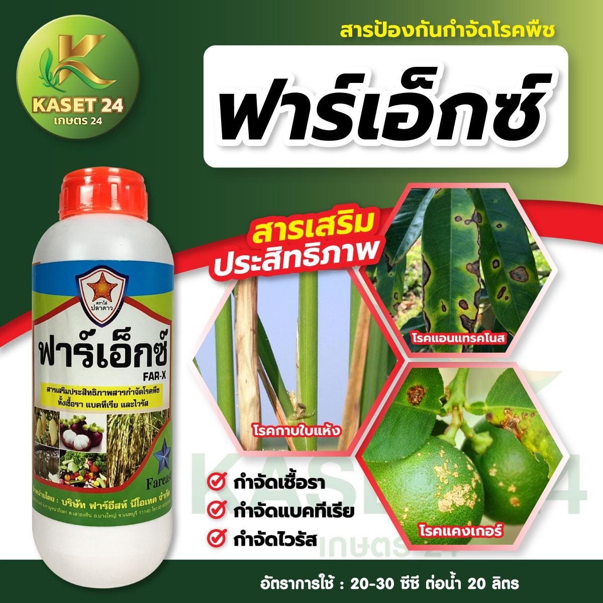 ยากำจัดเชื้อรา แบคทีเรีย ฟาร์เอ็กซ์ สารเสริมป้องกันกำจัดโรค ราสีชมพู ไฟทอปธอร่า (ขนาด 1 ลิตร) ส่งฟรีเก็บเงินปลายทาง (ไม่บวกเพิ่ม)