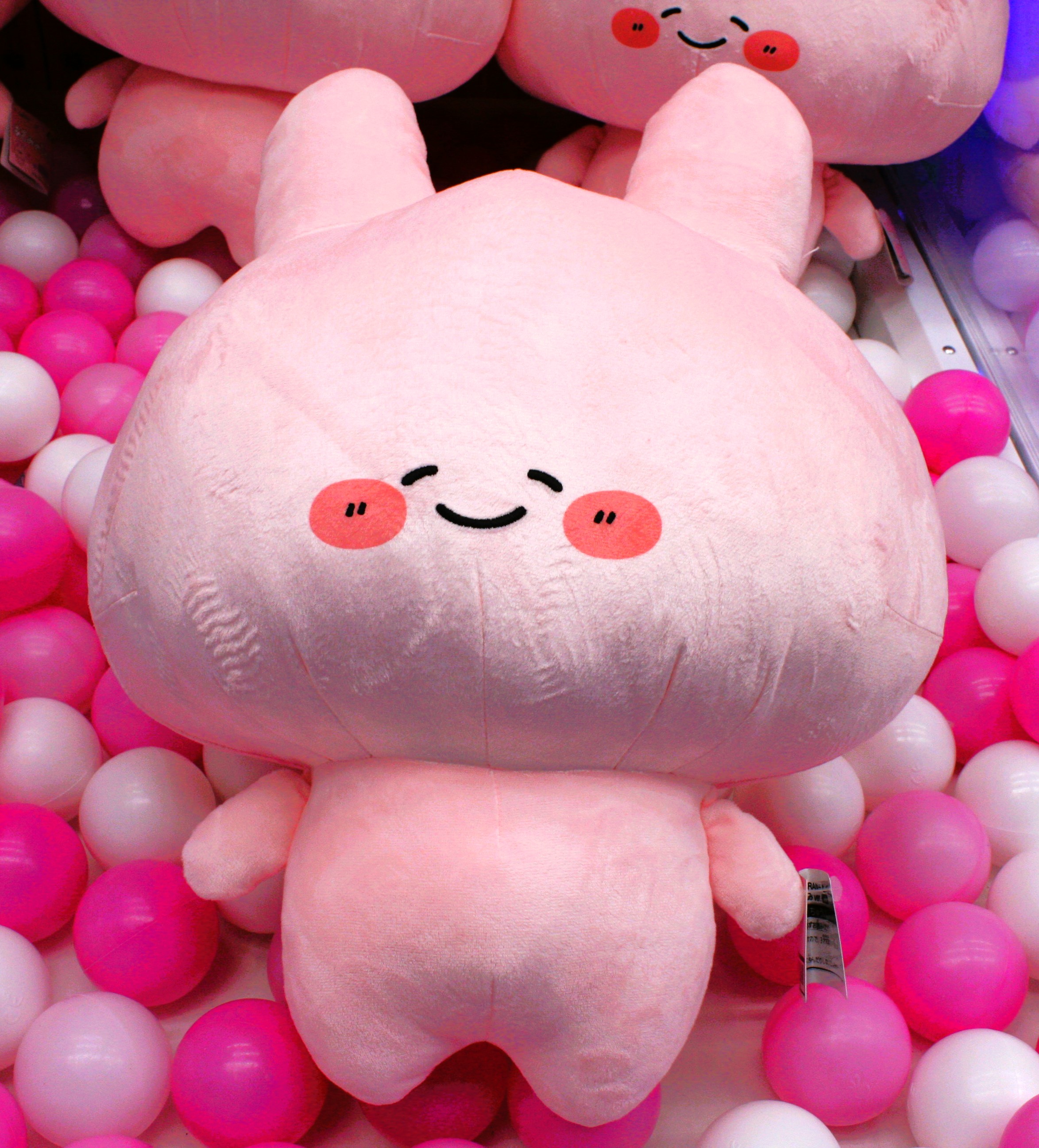 [PRE-ORDER] ตุ๊กตา อาซามิมิจัง ตัวใหญ่ 50 cm Asamimi-chan GRAN + Smile Ver. นำเข้าจากญี่ปุ่น TAITO あさみみちゃん GRAN+ ぬいぐるみ ほほえみver.