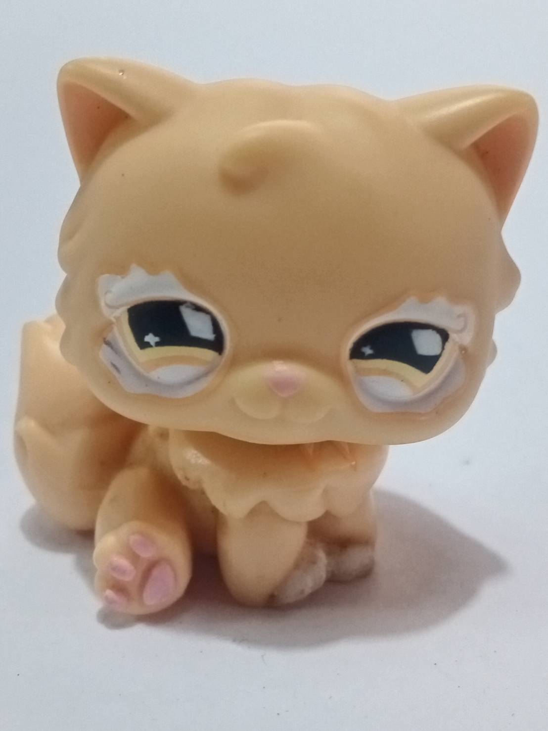 แมวเปอเซีย (Persian cat) สีส้ม แต่งตาวิงค์ (หายากมาก)