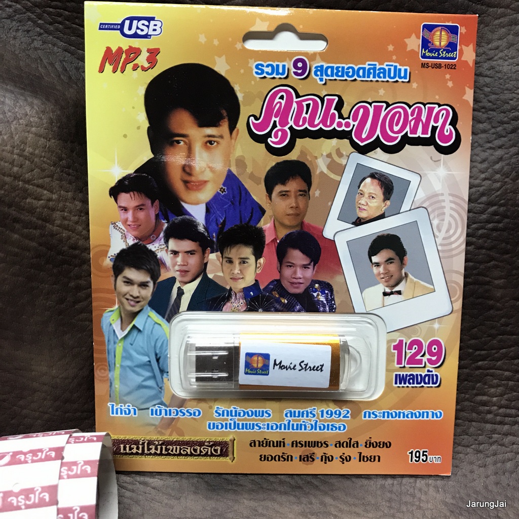 usb คุณขอมา รวม 9 สุดยอดศิลปิน 129 เพลงดัง ไก่จ๋า สายัณห์ ศรเพชร สดใส ยิ่งยง เสรี mp3 usb ms