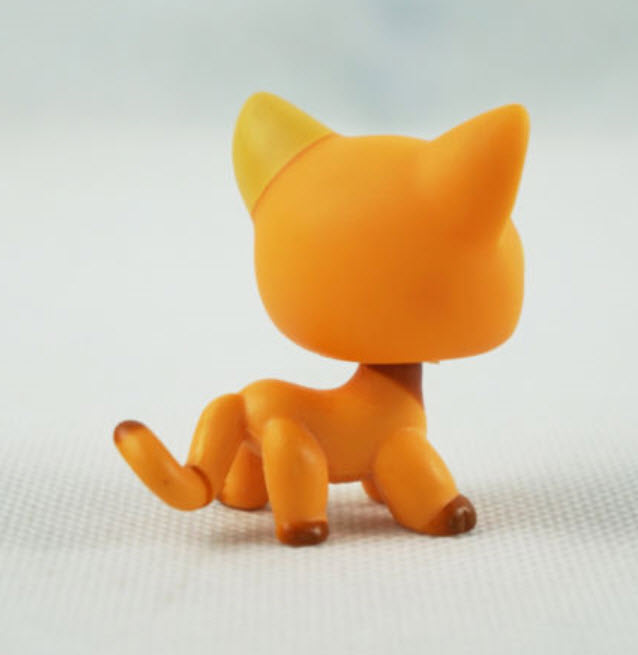 แมว Short Hair สีส้ม ตาสีเขียว #1643