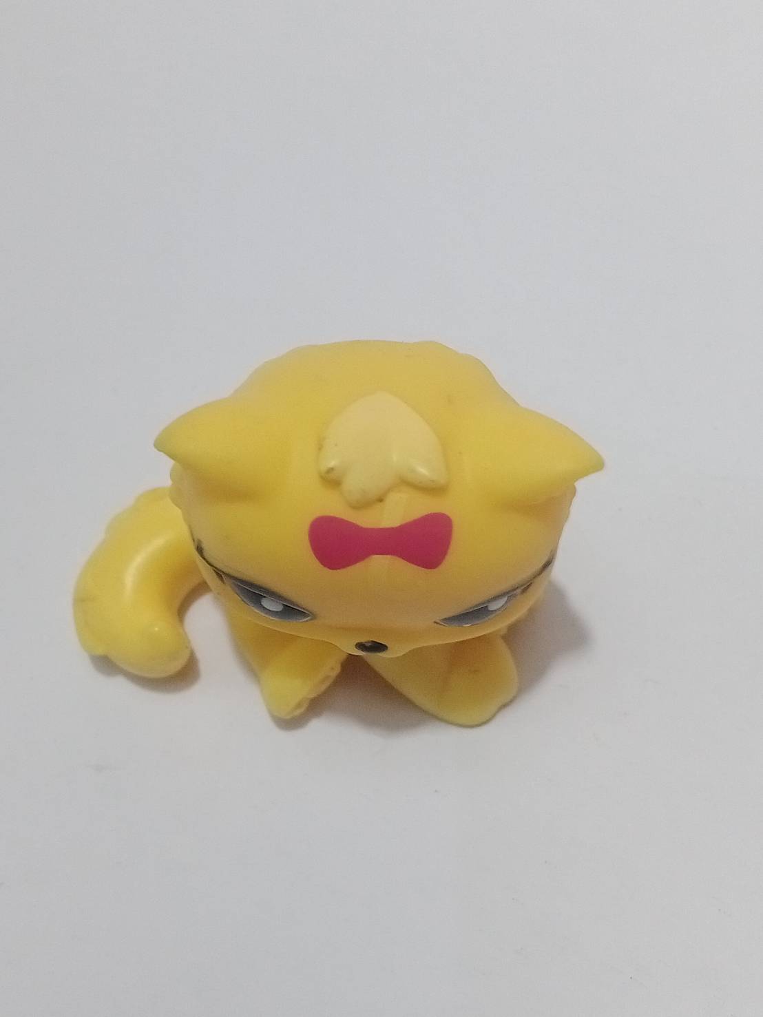 แมวเปอเซีย สีเหลือง โบว์สีชมพู #778