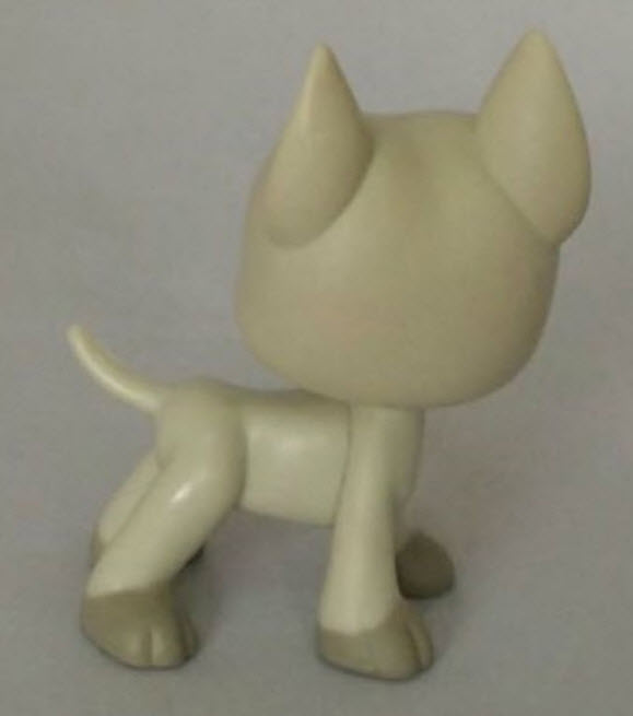 สุนัขเกรทเด้นท์ (Great Dane) สีเทา ตาสีดำแซมฟ้า (หายาก)