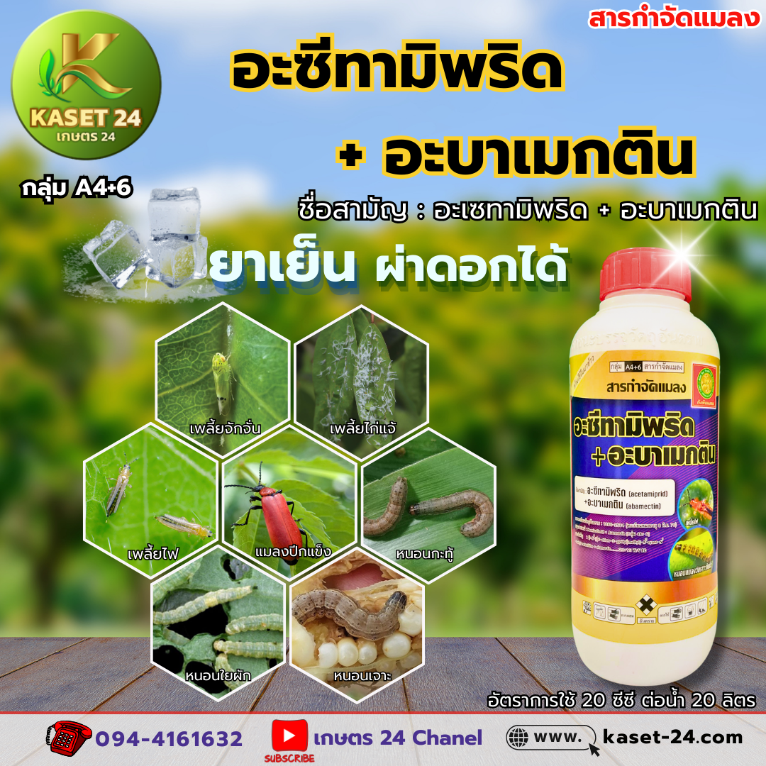 อะซีทามิพริด+อะบาเมกติน สารป้องกันกำจัดหนอน เพลี้ย 2 พลังบวก ยาสูตรเข้มข้น แบบเย็น ชนิดดูดซึม ฤทธิ์ยาคลุมนาน