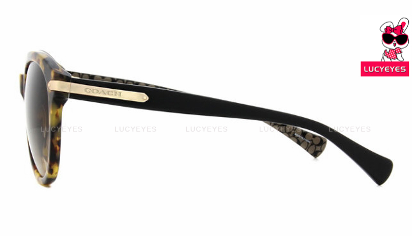 COACH HC8140F 530913