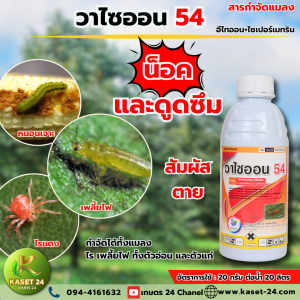 วาไซออน (อีไทออน + ไซเปอร์เมทริน) ดูดซึม สัมผัสตาย กำจัดเพลี้ยไฟ เพลี้ยจักจั่นฝอย เพลี้ยไก่แจ้ เพลี้ยแป้ง เพลี้ยหอย หนอนเจาะ หนอนกอ หนอนกระทู้