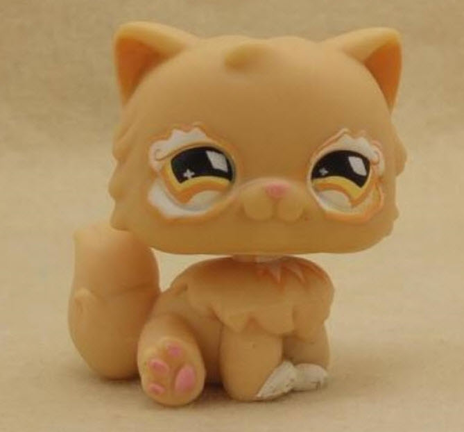 แมวเปอเซีย (Persian cat) สีส้ม แต่งตาวิงค์ (หายากมาก)