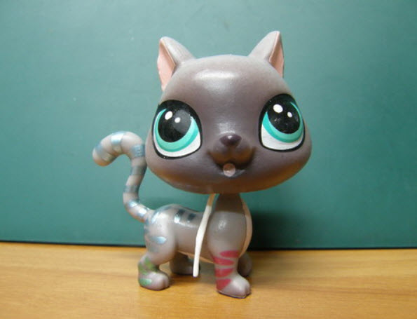 แมวสยาม (Siamese cat) สีเทา หางลาย