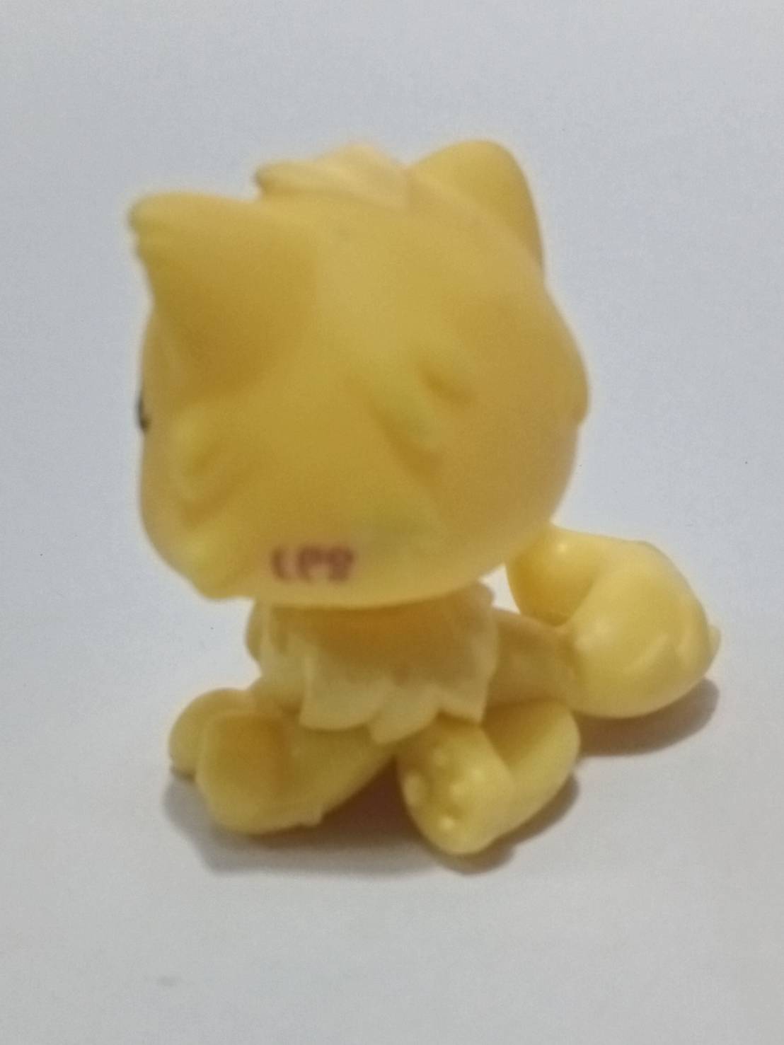 แมวเปอเซีย สีเหลือง โบว์สีชมพู #778