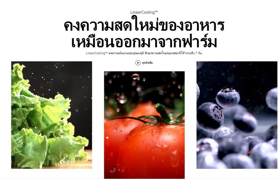 [ผ่อน0%] LG ตู้เย็น 2 ประตู Macaron Series GN-X392PBGB สีเบจ 14.0 คิว ระบบ Smart Inverter Compressor Smart Diagnosis (ชลบุรีส่งฟรี)