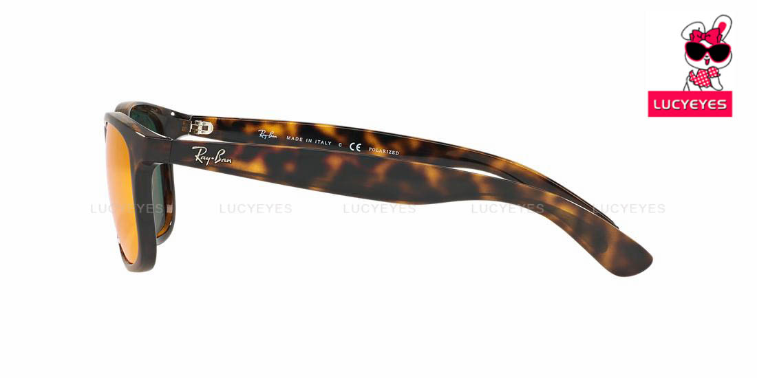 RayBan RB4202F 710/6S ANDY 5