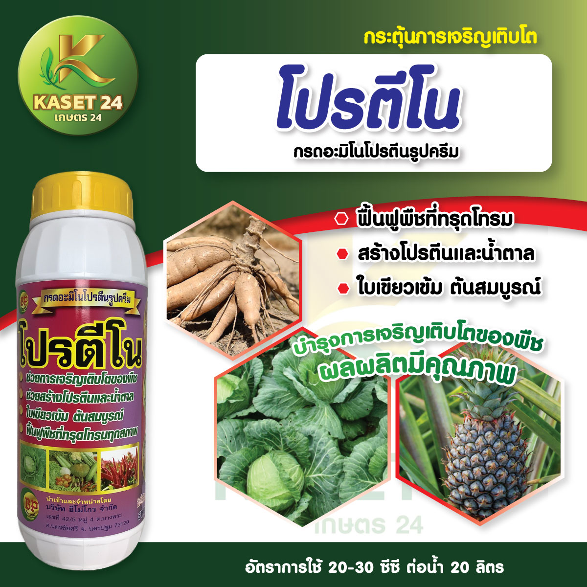 โปรตีโน อะมิโนปลาสูตรเข้มข้น กระตุ้นการแตกยอด ฟื้นต้นหลังการเก็บเกี่ยว ล้างต้น ขยายใบ เร่งใบเขียว (ขนาด 1 ลิตร) ส่งฟรีเก็บเงินปลายทาง (ไม่บวกเพิ่ม)
