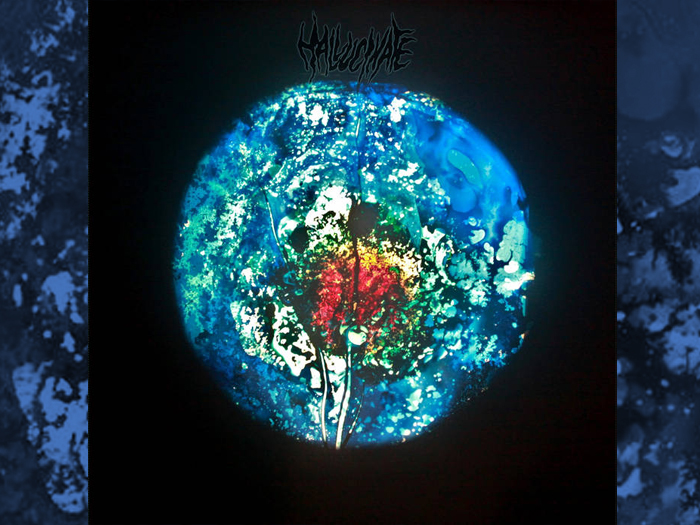 HALLUCINATE'From the Bowels of the Earth' CD