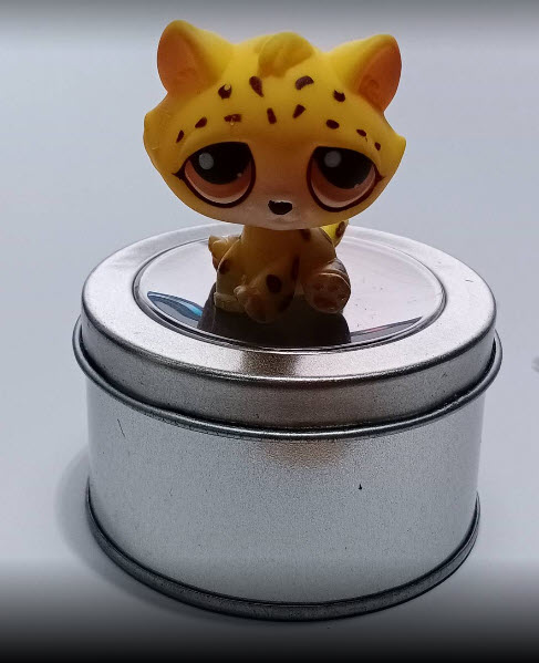 แมว Leopard #388 Cheetah ชุด Around The World "AFRICA" สีเหลืองตาสีส้ม