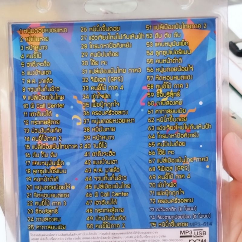 USB รวมเพลงเหนือชุด 2 รวมฮิตเหินฟ้าหน้าเลื่อม หนุ่มดอยหงอยเหงา MP3 USB pgm