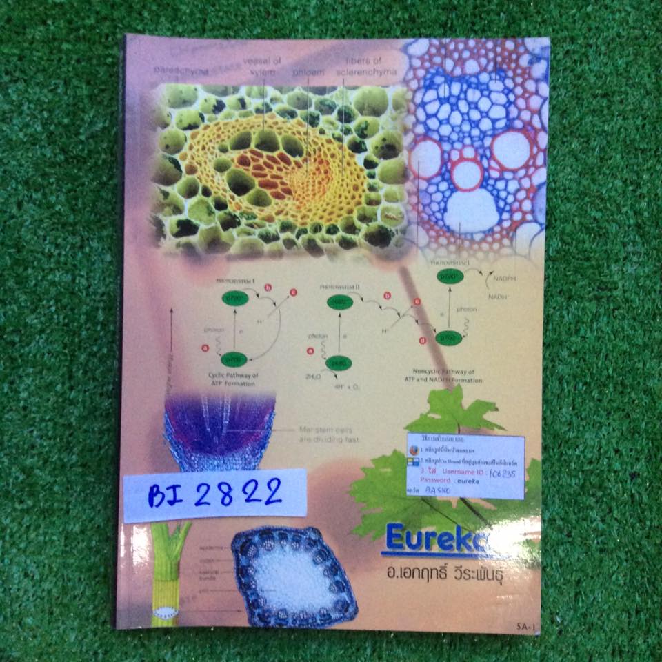 BI2822 [Eureka ยูเรก้า] ชีวะ อ.เอกฤทธิ์ เรื่องพืช กระดาษมันหนาพิมพ์สี มีกระดาษธรรมดาแทรกบ้างที่เป็นโจทย์ หนังสือไม่มีรอยเขียนขาย 500฿