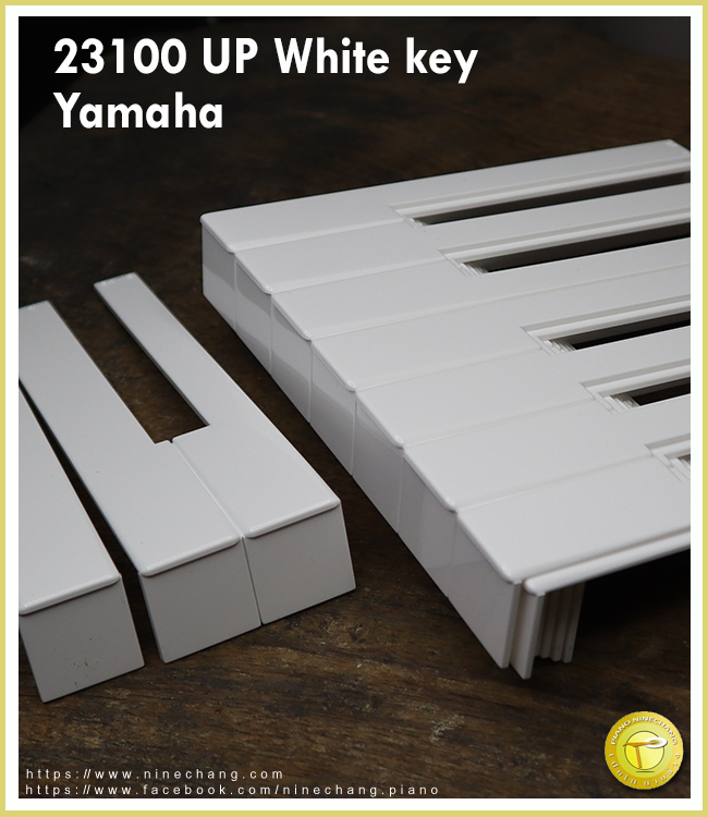 23100 UP White key สีขาว (yamaha)