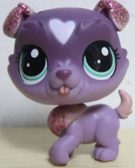 ลูกสุนัข "Cherie Bow-Wow" สีม่วง ตาสีเขียว แต่งวิ๊งค์