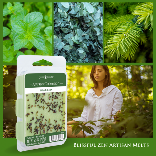 2.5oz Odor Eliminating Wax Melt BIISSFUL ZEN
