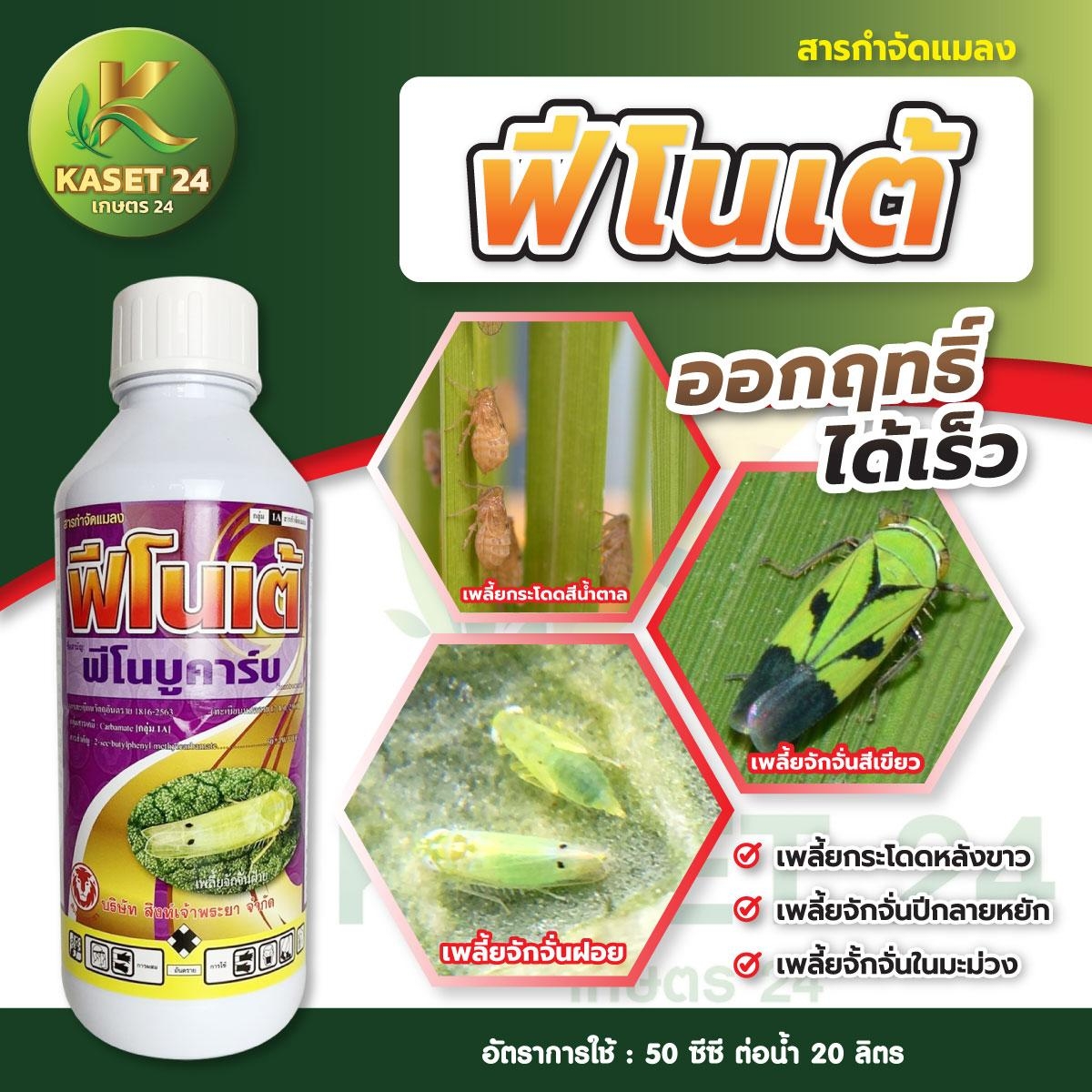 ฟีโนเต้ ออกฤทธิ์ได้เร็ว ถูกตัวตายและกินตาย ซึมผ่านปากใบพืช กำจัดเพลี้ยไฟ เพลี้ยกระโดดสีน้ำตาล เพลี้ยจักจั่น เพลี้ยไก่แจ้ แมลงปีกแข็ง มวน ด้วง