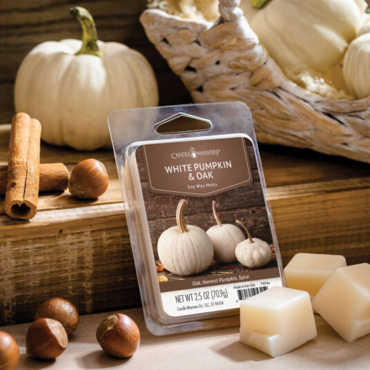 2.5oz Odor Eliminating Wax Melt WHITE PUMPKIN & OAK