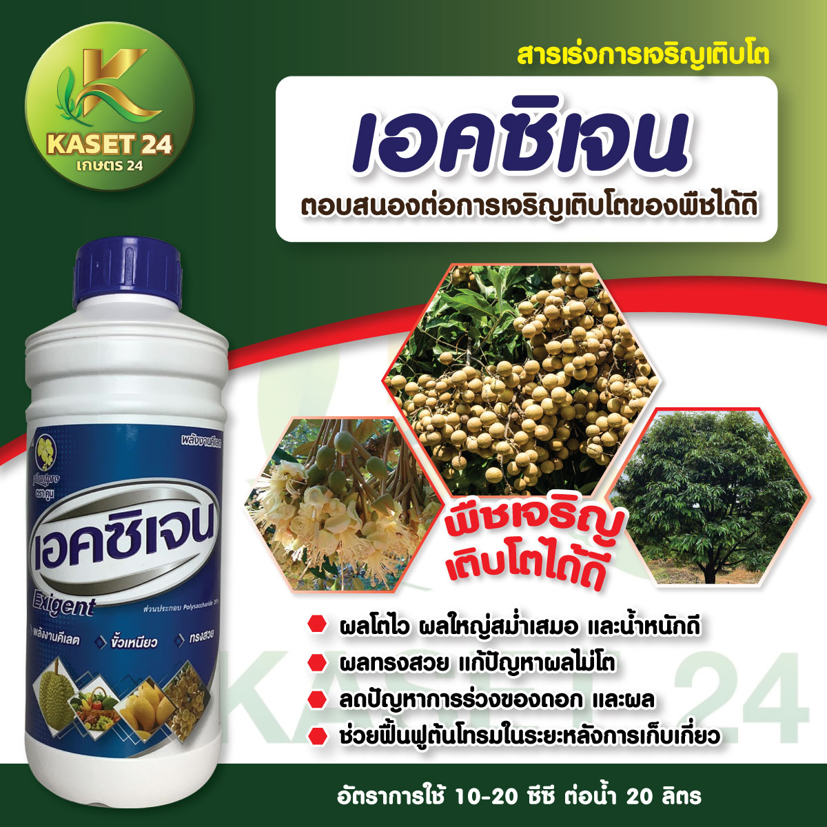 เอคซิเจน อะมิโนเปิดดอกสูตรเข้มข้น สารกระตุ้นการเปิดดอก เร่งการออกดอก เพิ่มการงอกของเมล็ด (ขนาด 1 ลิตร) ส่งฟรีเก็บเงินปลายทาง (ไม่บวกเพิ่ม)