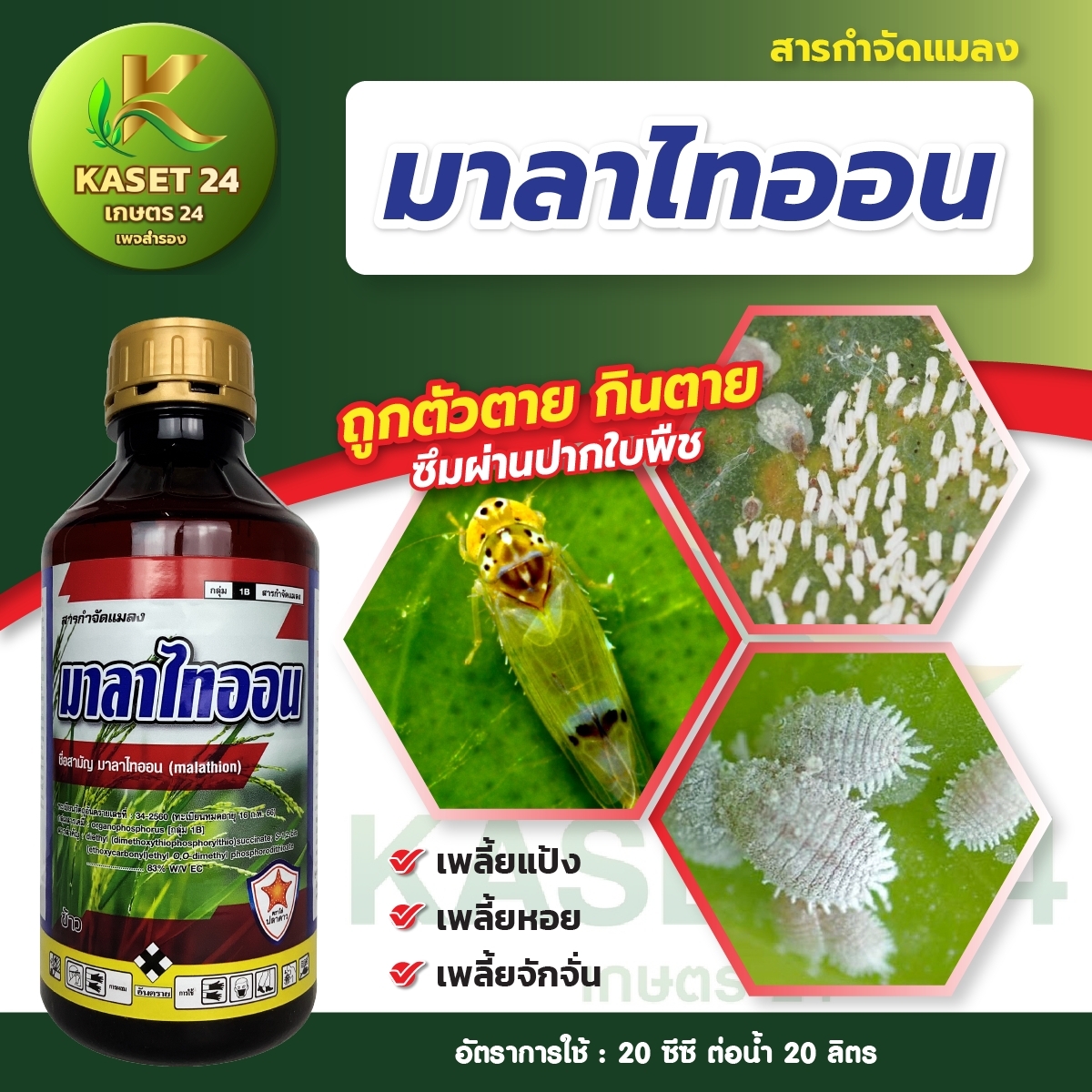 มาลาไทออน ฟาอีส ยากำจัดเพลี้ยได้ทุกชนิด เพลี้ยแป้ง เพลี้ยหอย เพลี้ยไฟ เพลี้ยไก่แจ้ เพลี้ยกระโดด เพลี้ยจักจั่น หนอน (ขนาด 1 ลิตร) ส่งฟรีเก็บเงินปลายทาง (ไม่บวกเพิ่ม)