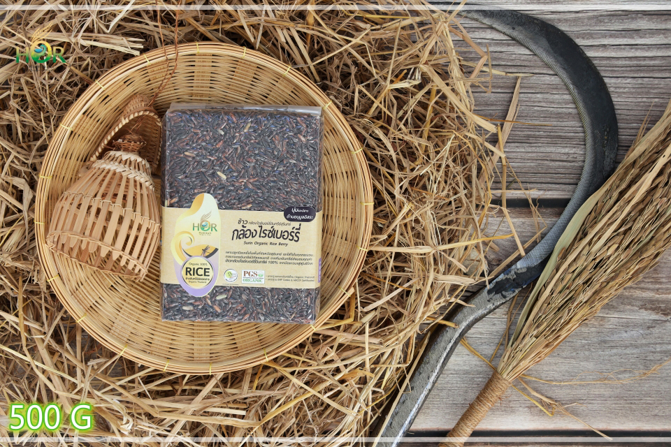 ข้าวไรซ์เบอร์รี่ 500 g ข้าวไรซ์เบอร์รี่ปลอดสาร 500 g ข้าวไรซ์เบอร์รี่สุขภาพ 500 g ข้าวไรซ์เบอร์รี่เพื่อสุขภาพ 500 g ข้าวไรซ์เบอร์รี่ปลอดสารเคมี 500 g Surin Organic Rice Berry (Small Size 500 g) 500 กรัม