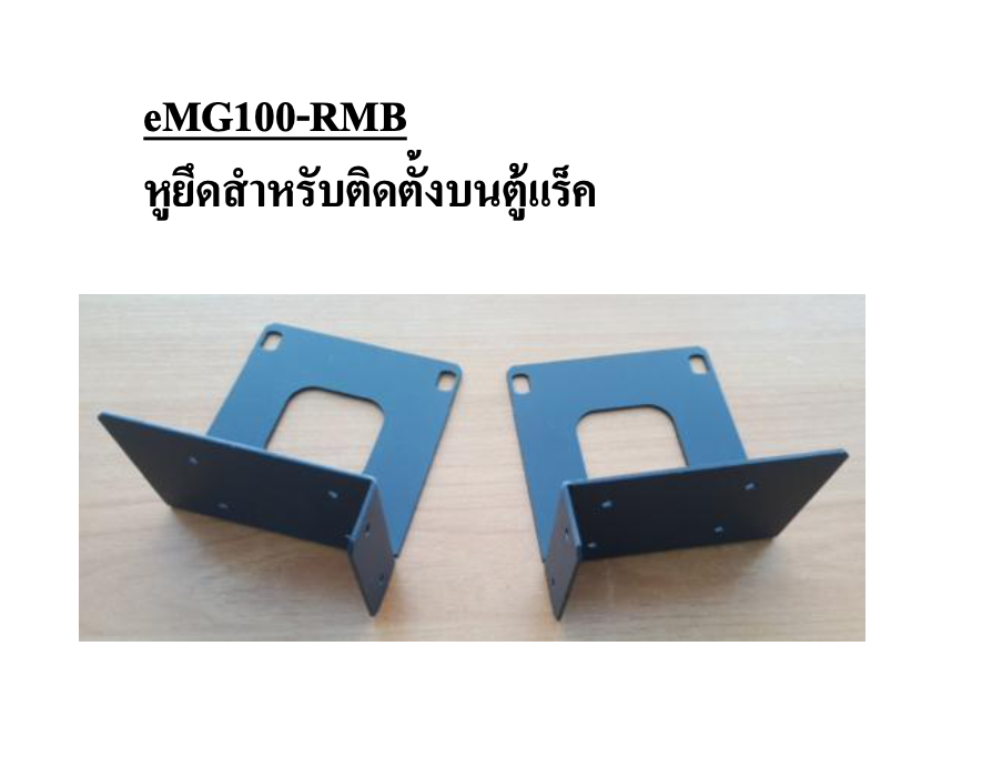 eMG100-RMB