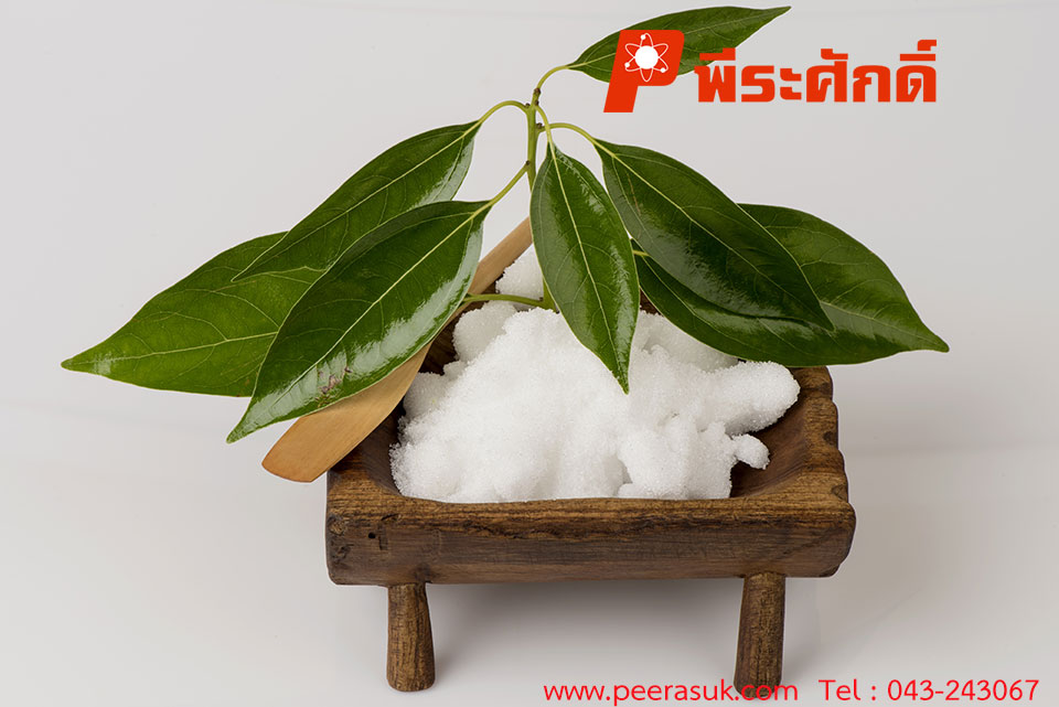 การบูร (Camphor)