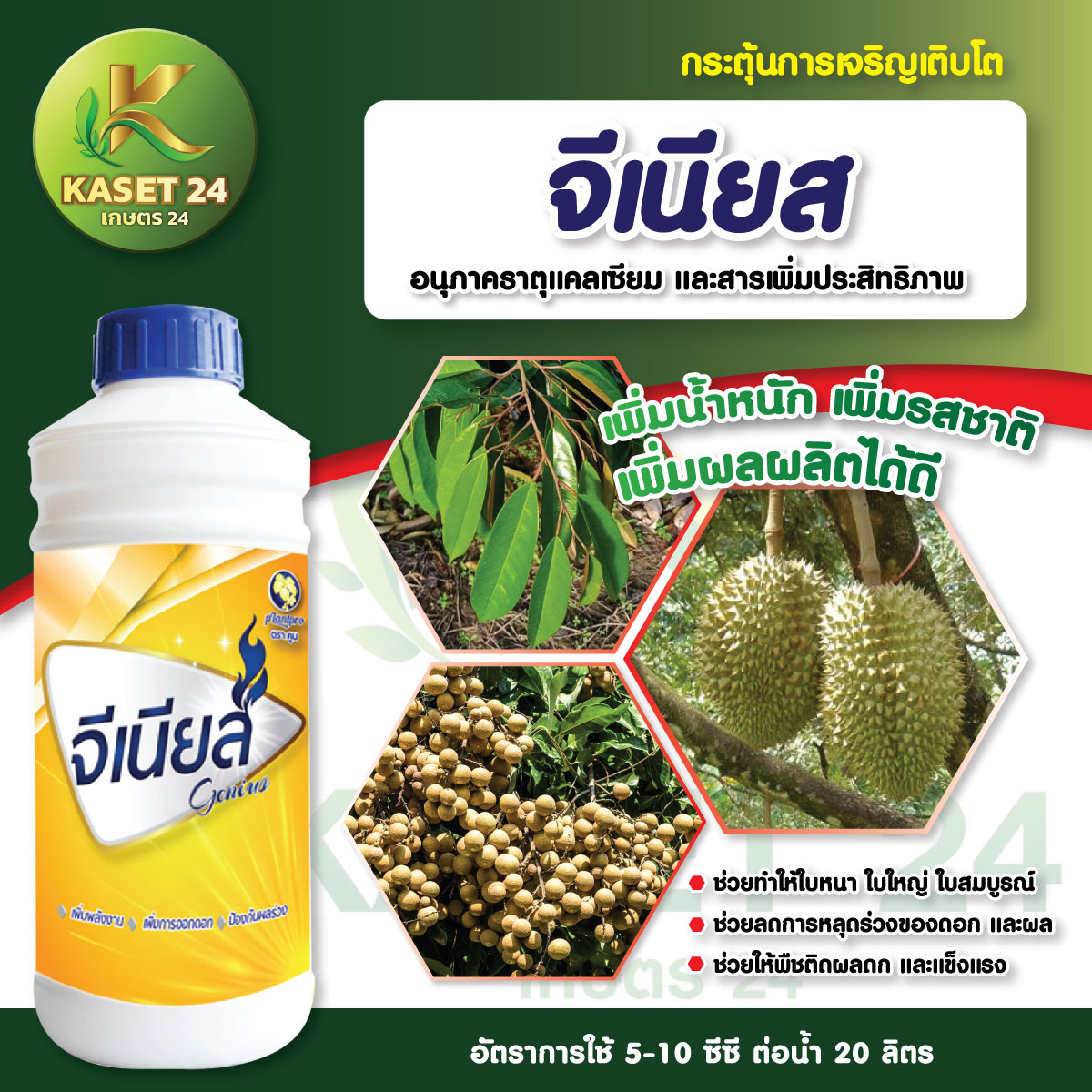 จีเนียส สารป้องกันผลร่วง ทันทีที่ใช้ ขั้วดอก ขั้วผลเหนียว ทุเรียน (ขนาด 500 ซีซี) ส่งฟรีเก็บเงินปลายทาง (ไม่บวกเพิ่ม)