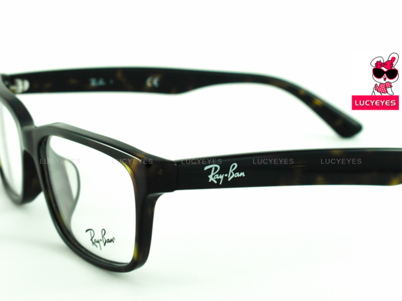 RayBan RX5296D 2012