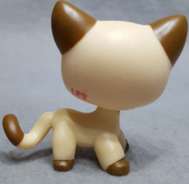 แมว Short hair สีน้ำตาลอ่อน หัวใจที่หน้า