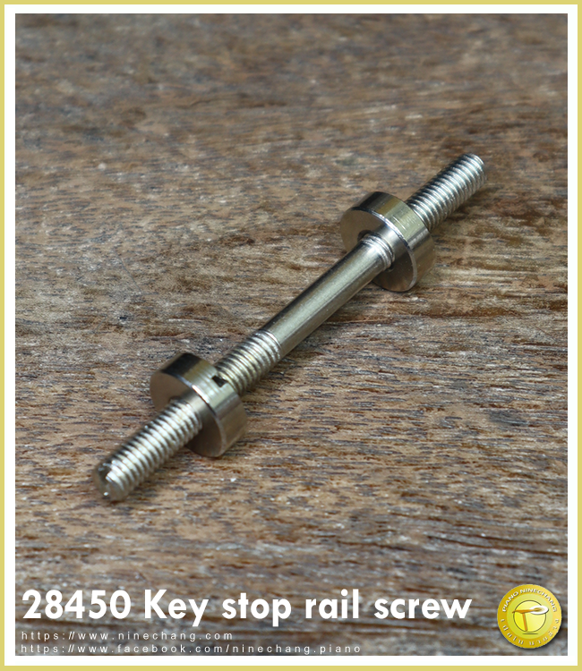28450 Key stop rail screw