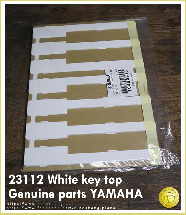 23112 White key top 1octave/pack Genuine parts YAMAHA