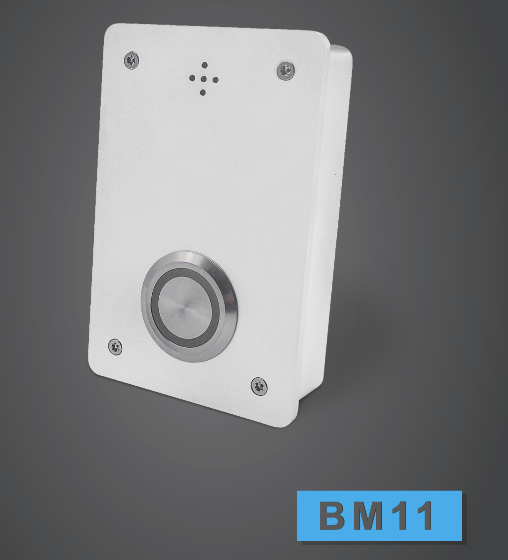 BM11