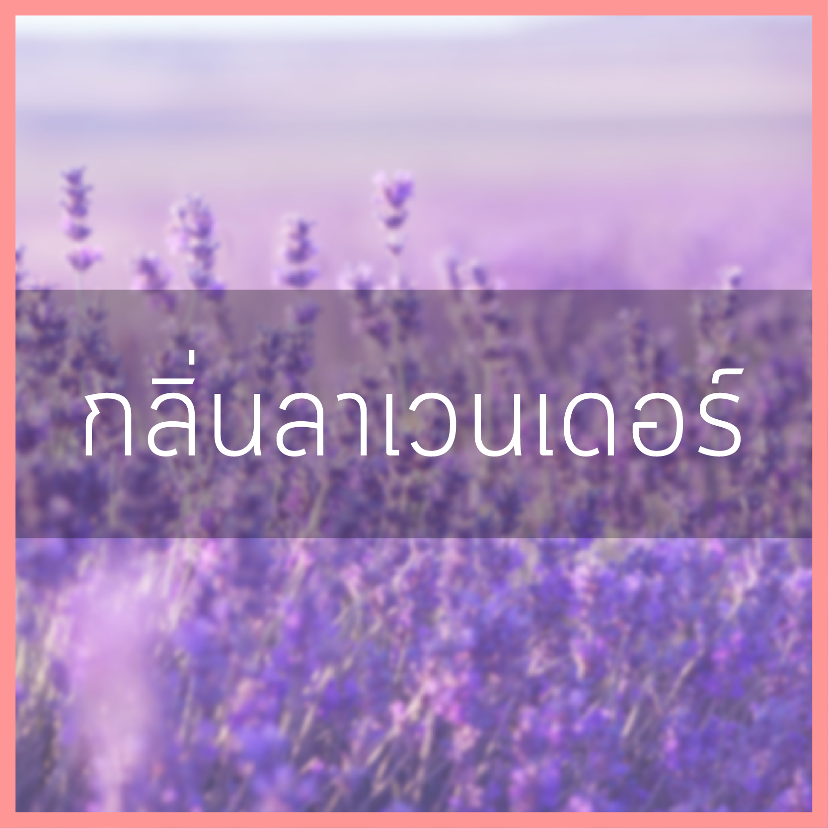 # น้ำหอมกลิ่นลาเวนเดอร์
