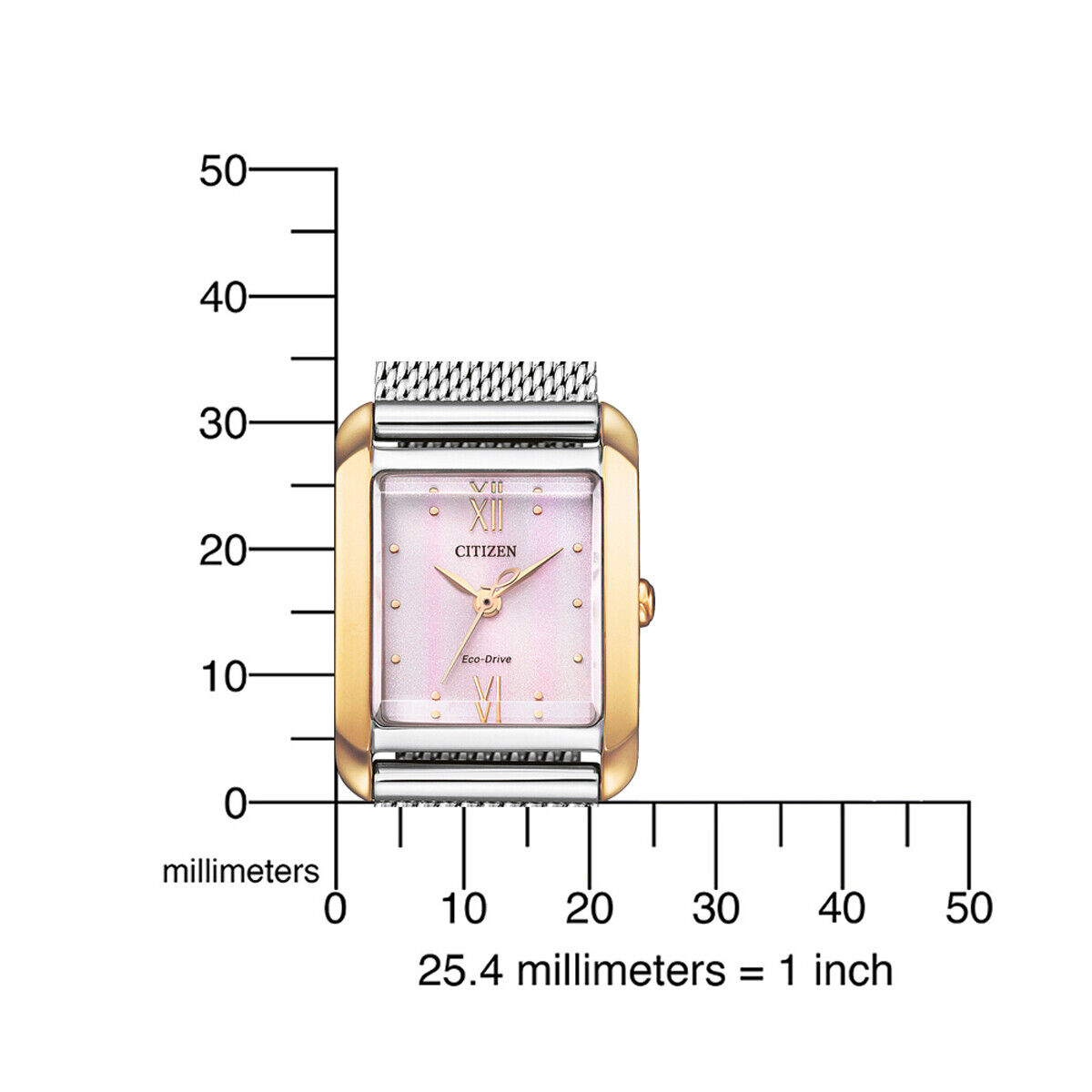 Citizen EW5596-66X นาฬิกาผู้หญิง Eco-Drive Citizen L Women's Watch + 2 สาย