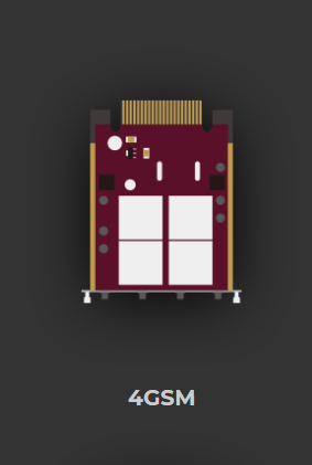 1GSM