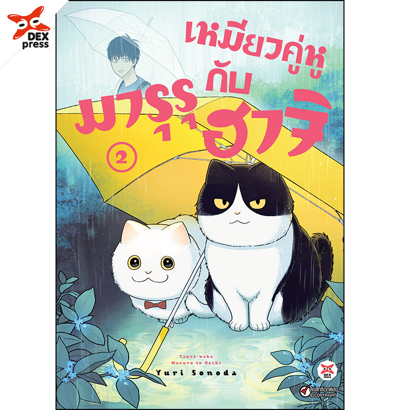 [DEXPRESS] เหมียวคู่หู มารุรุกับฮาจิ เล่ม 2 ฉบับการ์ตูน